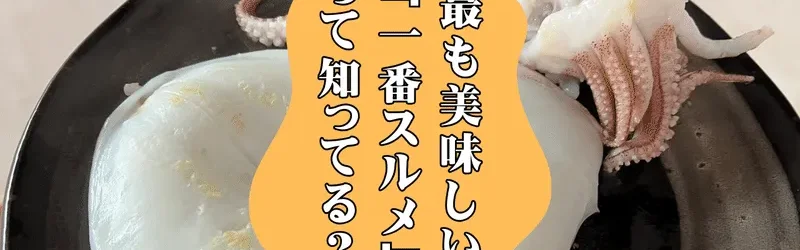 【徹底検証】 最も美味しい干しイカ「一番スルメ」ってなぁに?