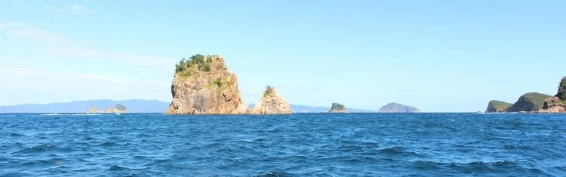 アクティビティ体験レポート ~AFSボート体験ツアー~